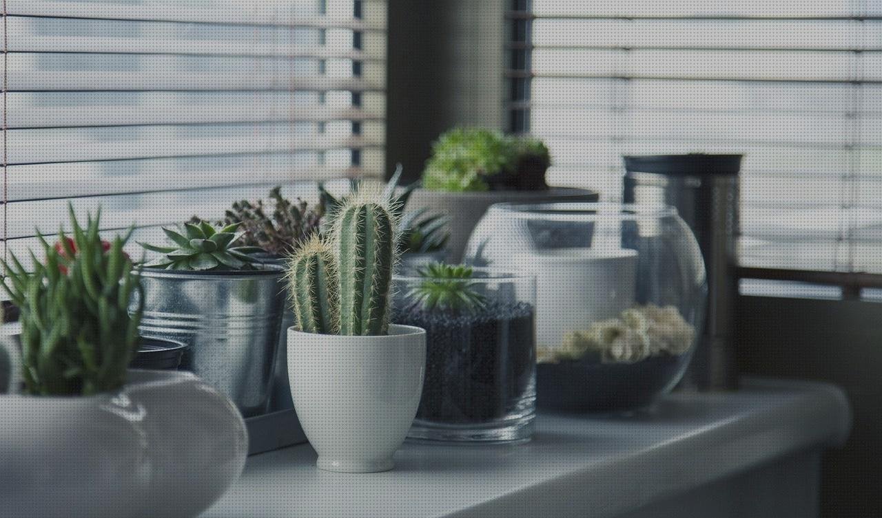 Las mejores marcas de estante plastico fachadas ventiladas de policarbonato fachada policarbonato estante melamina