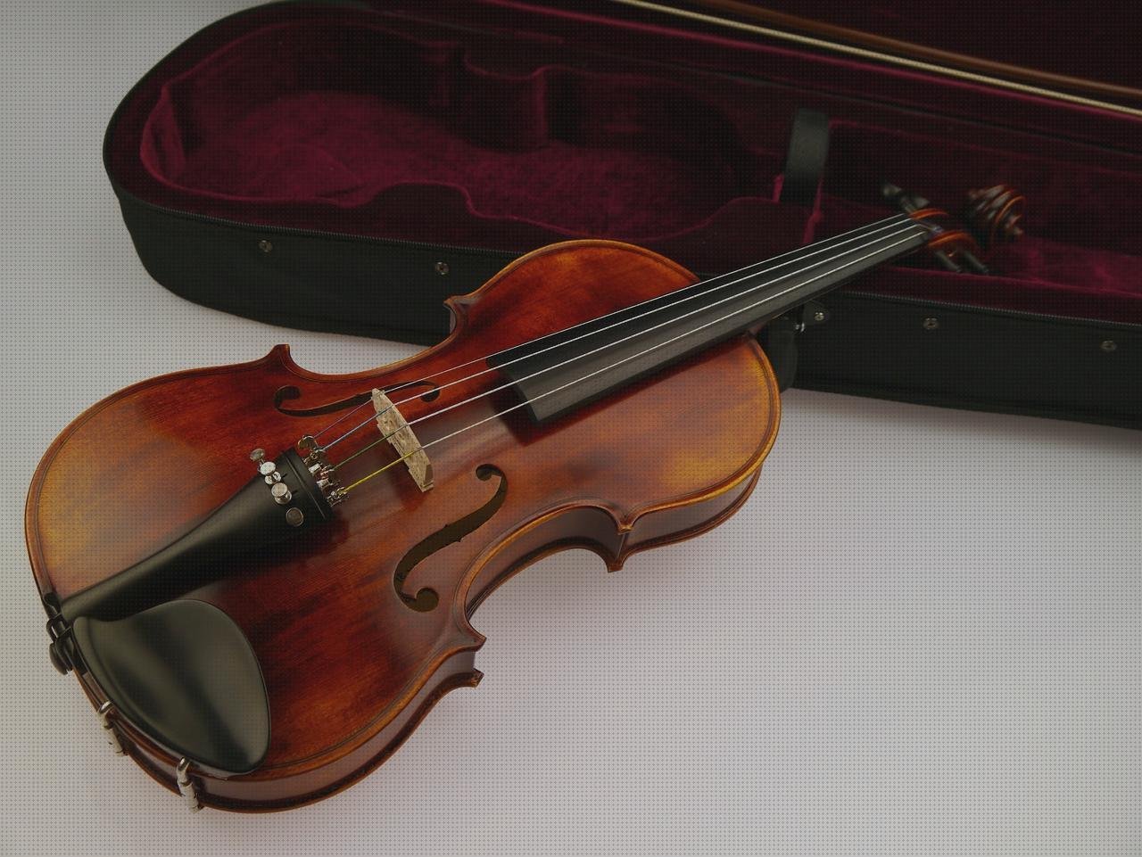 Análisis de los 1 mejores Estuches Violín Policarbonato