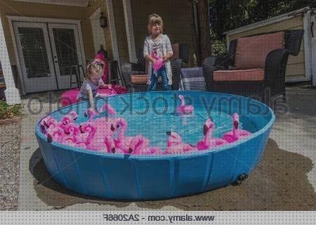 ¿Dónde poder comprar rosas flamencos rosas de plastico?