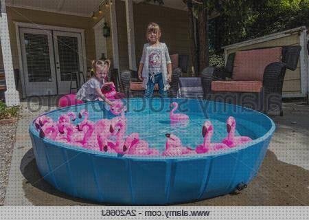 Las mejores rosas flamencos rosas de plastico