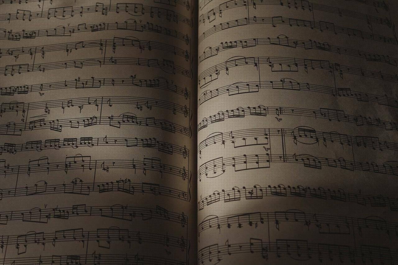 Opiniones de bañeroa de plástico adultos bañera plastico adultos cocina melamina lacada blanca flauta hohner plastico