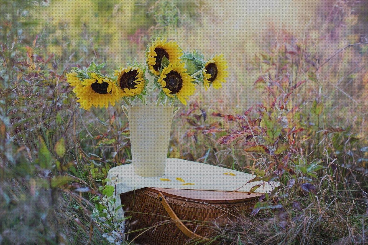 Opiniones de los 6 mejores Floreros Con Cucharas De Plásticos