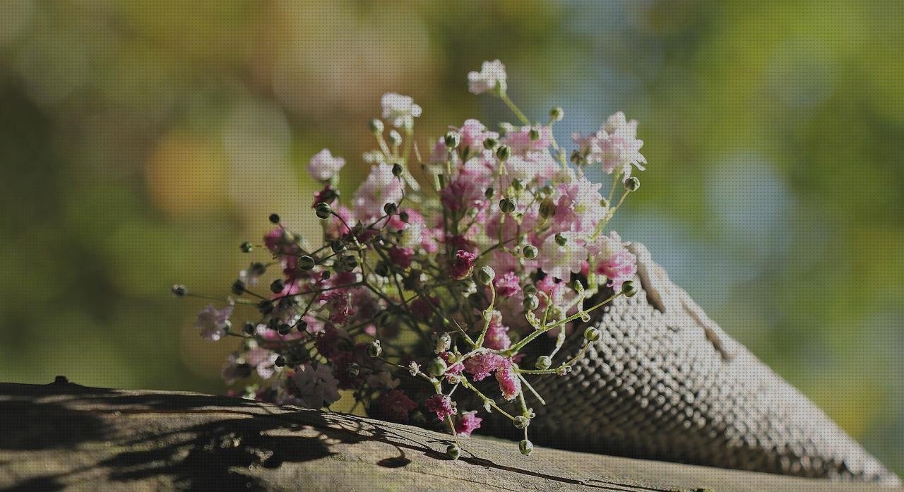 Las mejores 15 Flores Con Bolsas De Plásticos