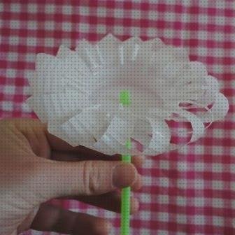 Las 1 Mejores Flores Con Vasos De Plásticos