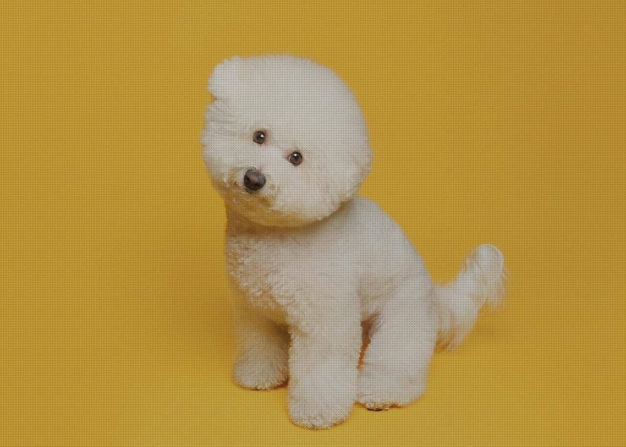 TOP 21 Mejores FRISOS PVC GROSFILLEX ([mes] 2024)