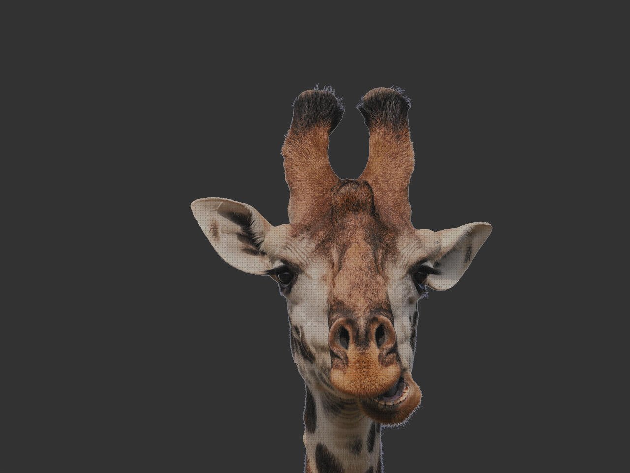 Las mejores marcas de caja de metacrilato 15x15 bezel metacrilato cortal metacrilato frontal cocina metacrilato