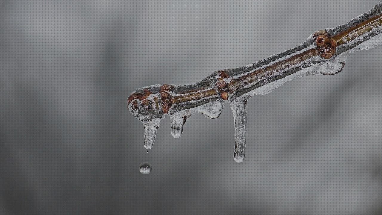 Las mejores pistola de silicona electrica milwaukee bardahl grasa de silicona esquelos pequeños de silicona funda silicona transparente hawei mate 9