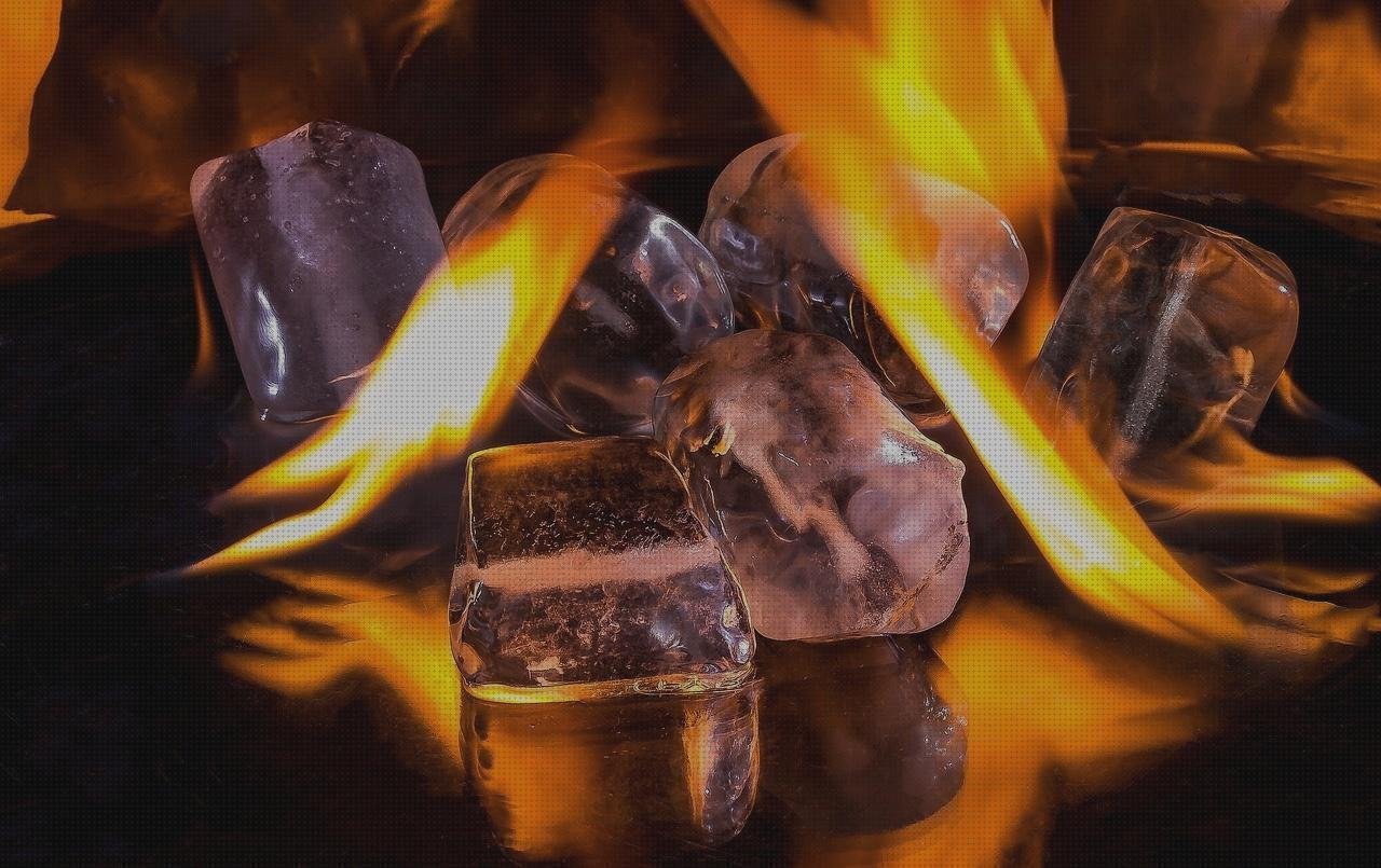 Las mejores marcas de fundas fundas cd plástico