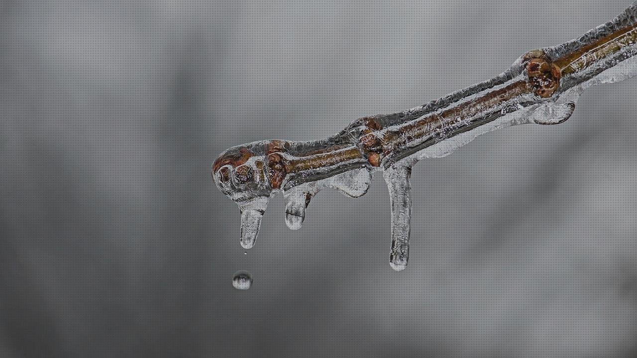 Las mejores fundas fundas cd plástico