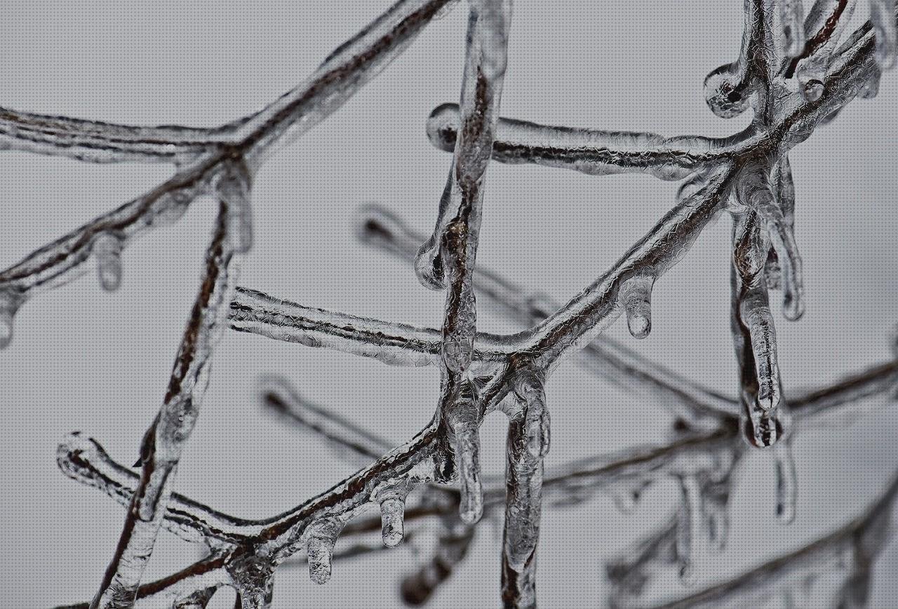 Review de fundas cd plástico