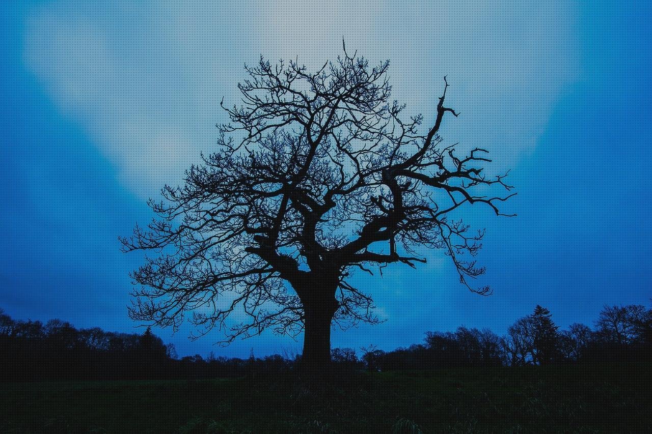 Review de galan de noche metacrilato