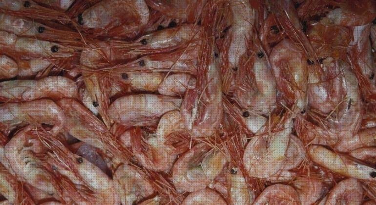Las mejores 14 Gambas De Plásticos