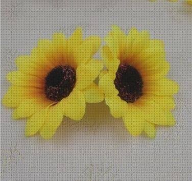 Las mejores girasoles