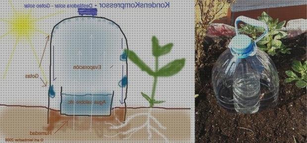Las mejores gotero plástico bolsa de muñequeitos navideños pequeños de plástico bastones navideños de plástico gotero con botella de plástico