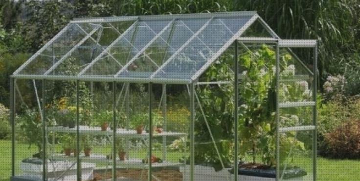 Las mejores marcas de ciervo de metacrilato bovedas metacrilato cubricion caja de metacrilato 15x15 hivernaculo de metacrilato