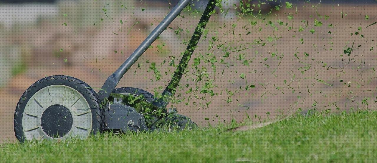 ¿Dónde poder comprar hojas plastico hoja de lamina policarbonato?