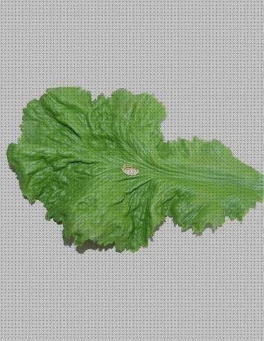 ¿Dónde poder comprar hojas hojas de lechuga de plastico?