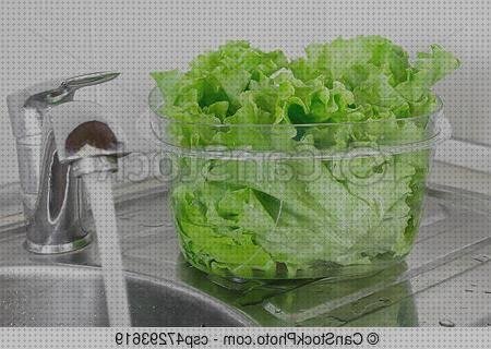 Las mejores hojas hojas de lechuga de plastico