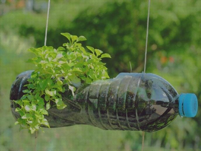 Review de huerta con botellas de plástico