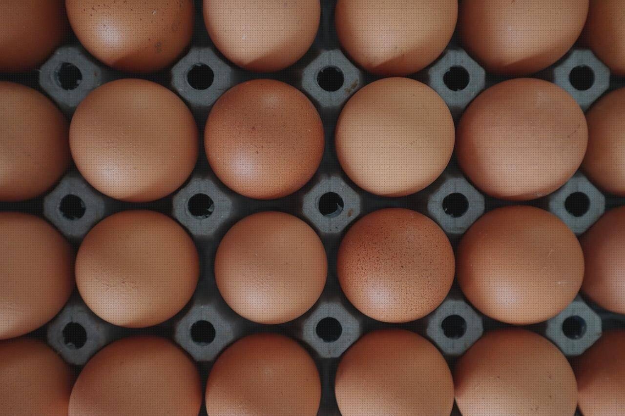 Los mejores 13 Huevera De Plásticos