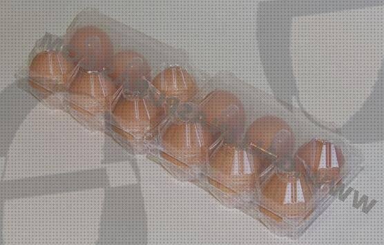 Los 5 Mejores Hueveras De Plásticos Desechables