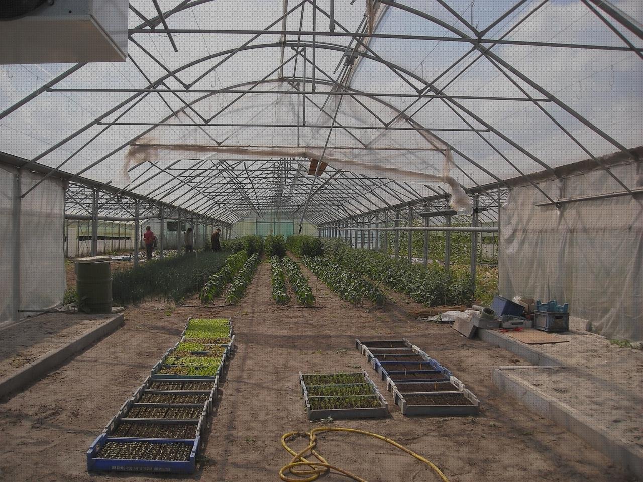 Análisis de los 11 mejores Invernadero Aluminio Y Policarbonato