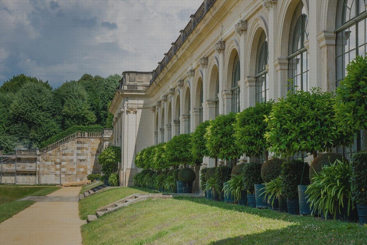 Las mejores invernaderos jardin policarbonato plástico transparente invernaderos invernadero de jardín policarbonato transparente
