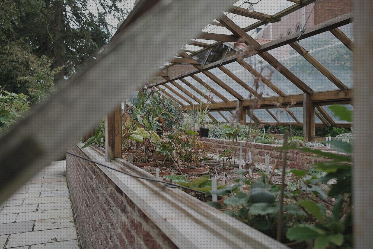 Análisis de los 10 mejores Invernadero De Jardín Policarbonato Transparente
