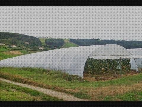 Las mejores marcas de plástico transparente invernaderos Más sobre alcalinidad de la silicona Más sobre chupete de silicona chicco invernadero de plástico