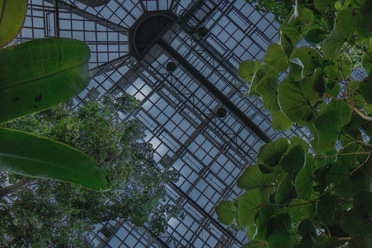 ¿Dónde poder comprar plástico transparente invernaderos invernadero de techo de policarbonato?