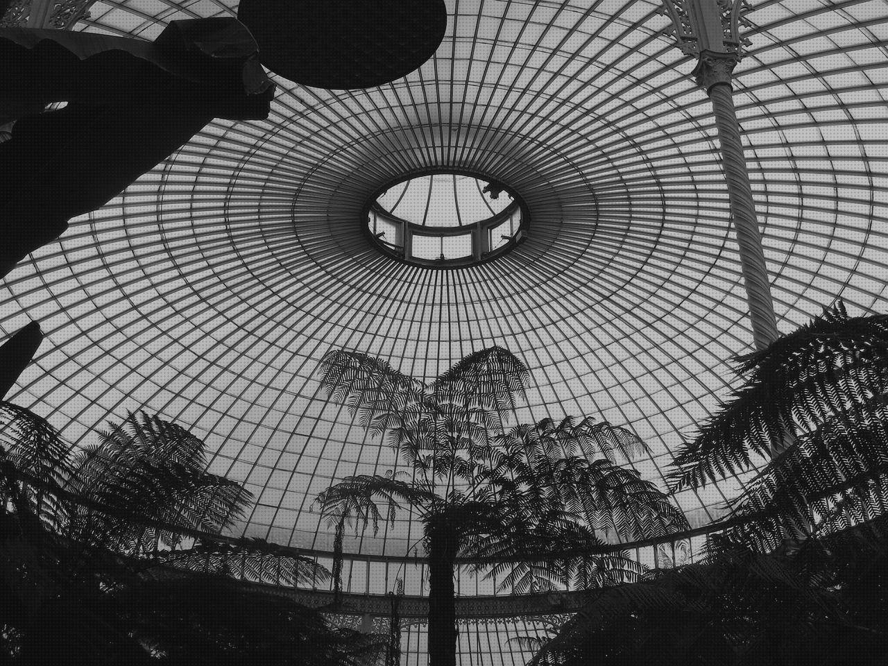 Las mejores marcas de plástico transparente invernaderos invernadero de techo de policarbonato