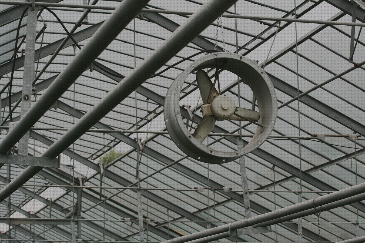 Review de invernadero de techo de policarbonato