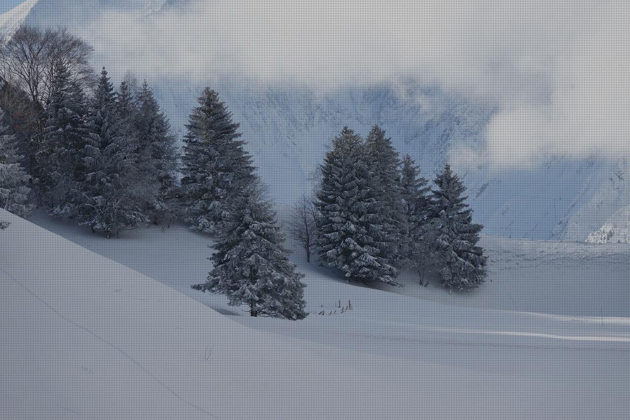 Las mejores plástico transparente invernaderos invernadero grande policarbonato