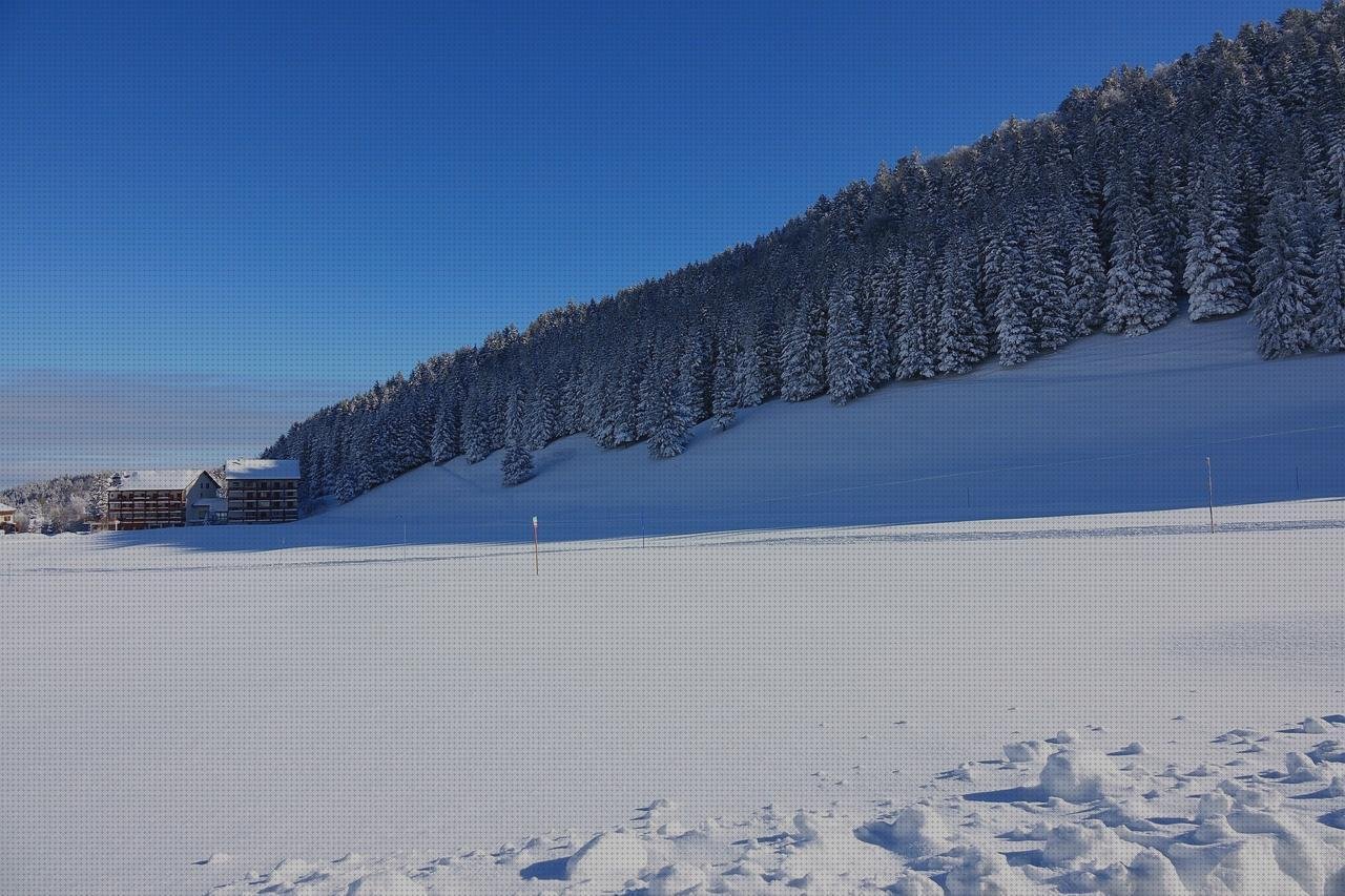 Review de invernadero grande policarbonato