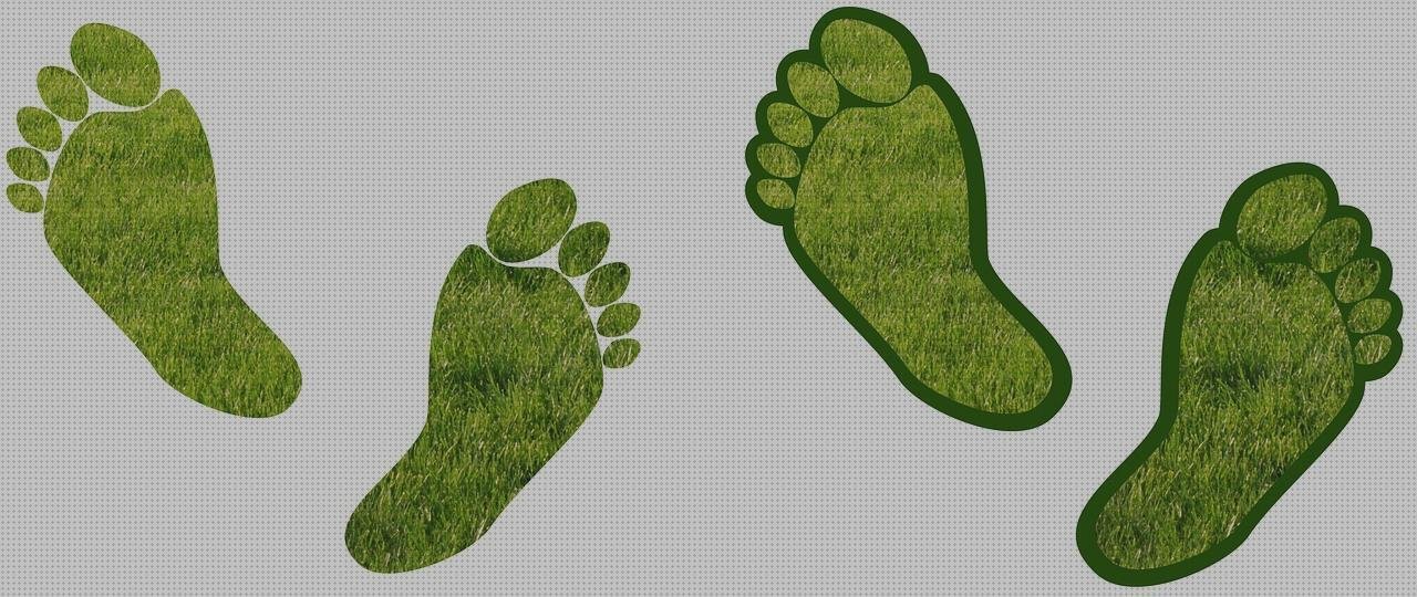 ¿Dónde poder comprar plástico transparente invernaderos invernadero pared policarbonato?