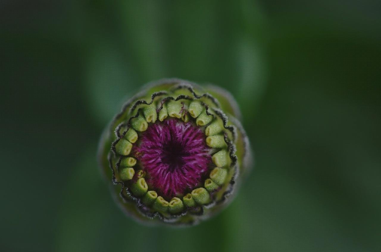 Review de invernadero pared policarbonato