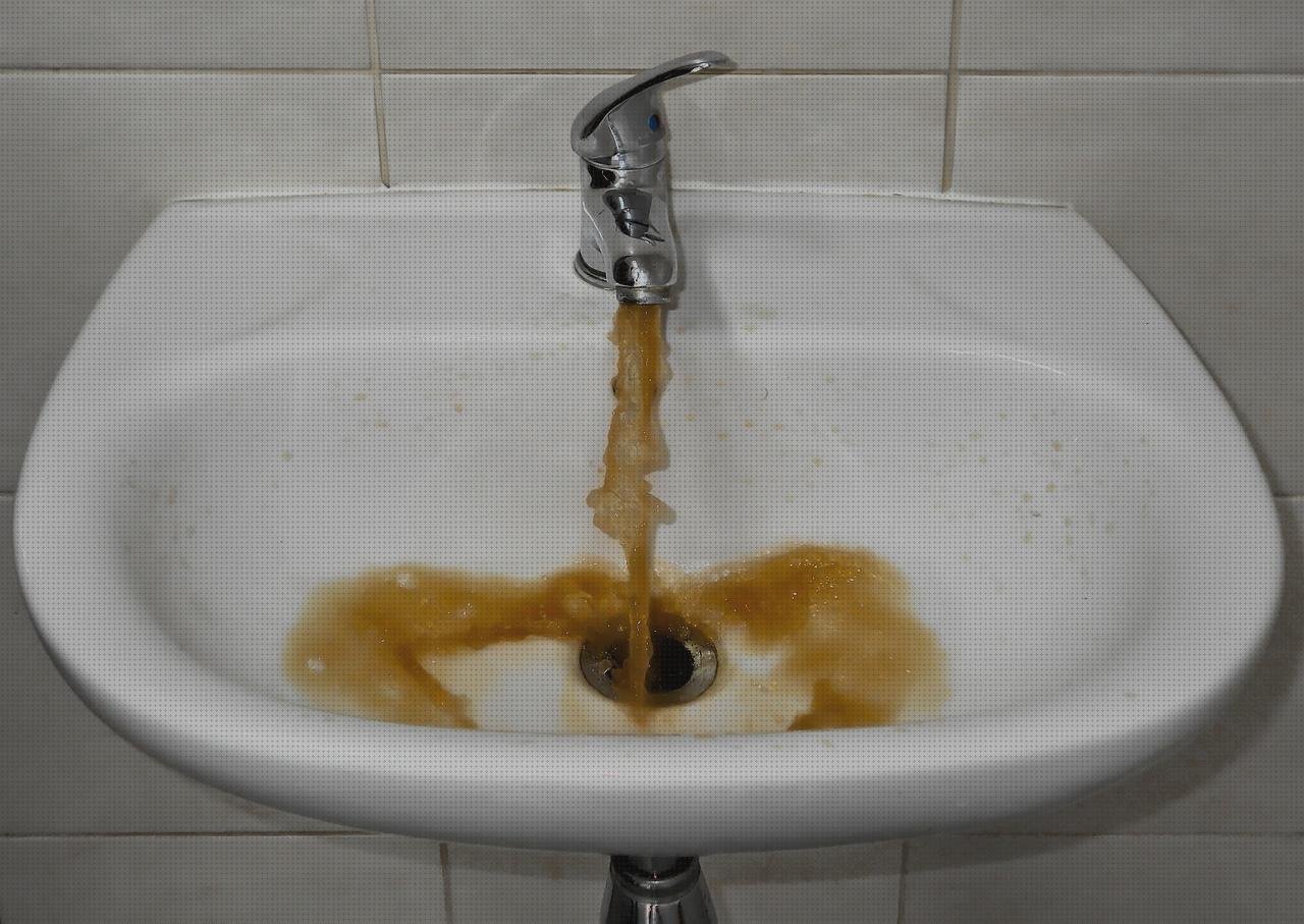 Análisis de los 13 mejores Invernadero Planchas De Policarbonato