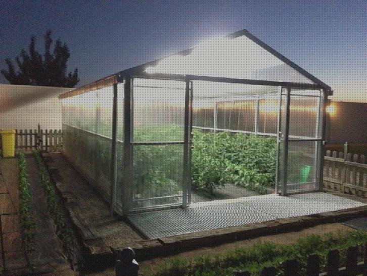 Los mejores 8 Invernadero Policarbonato 100 M2