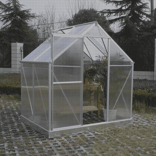 Opiniones de los 6 mejores Invernadero Policarbonato 46 Base 2 30 M2