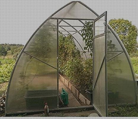 Las mejores plástico transparente invernaderos invernadero policarbonato 8m x 4m