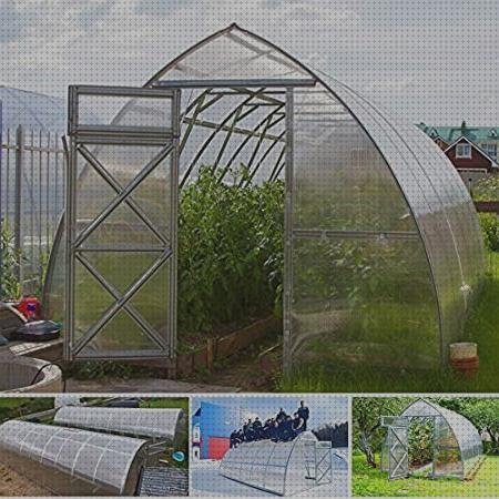 Review de invernadero policarbonato 8m x 4m