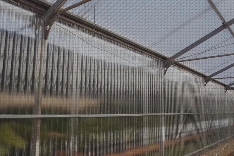 Los mejores 23 Invernadero Policarbonato En L