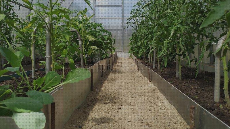 ¿Dónde poder comprar plástico transparente invernaderos invernadero policarbonato sin suelo?