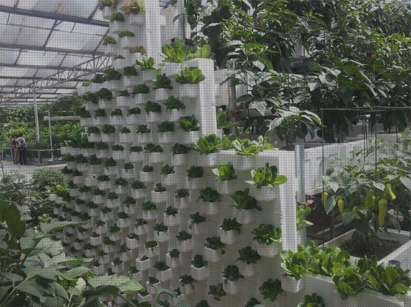 Las mejores marcas de plástico transparente invernaderos invernadero policarbonato sin suelo