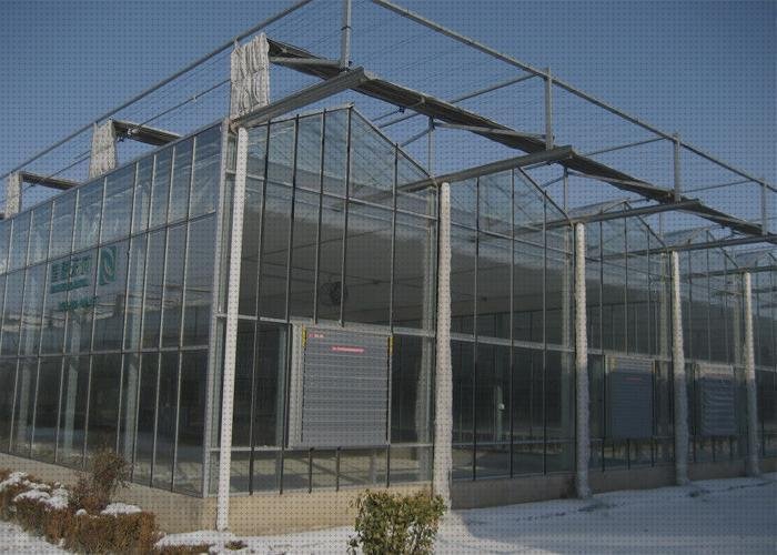 Opiniones de los 22 mejores Invernaderos Policarbonatos Y Aluminios Fuertes Vientos