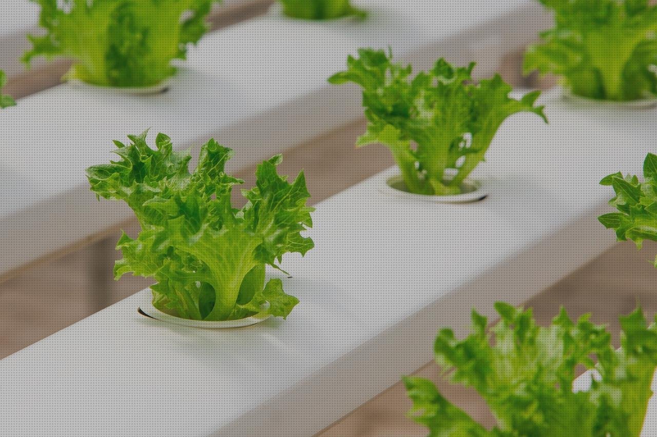 Las mejores marcas de plástico transparente invernaderos invernadero semillero policarbonato