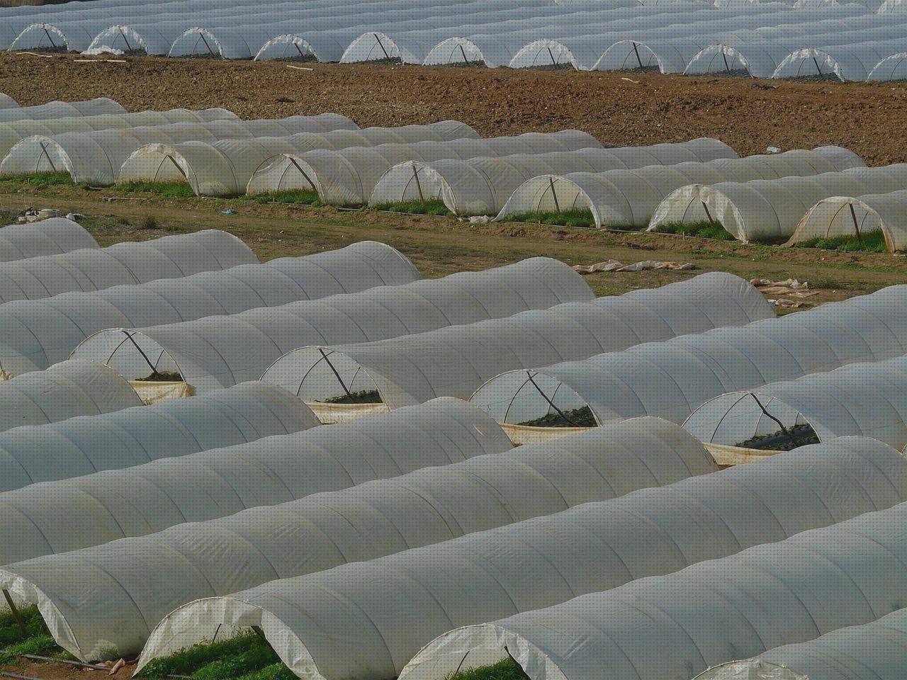 ¿Dónde poder comprar plástico transparente invernaderos invernadero túnel policarbonato?