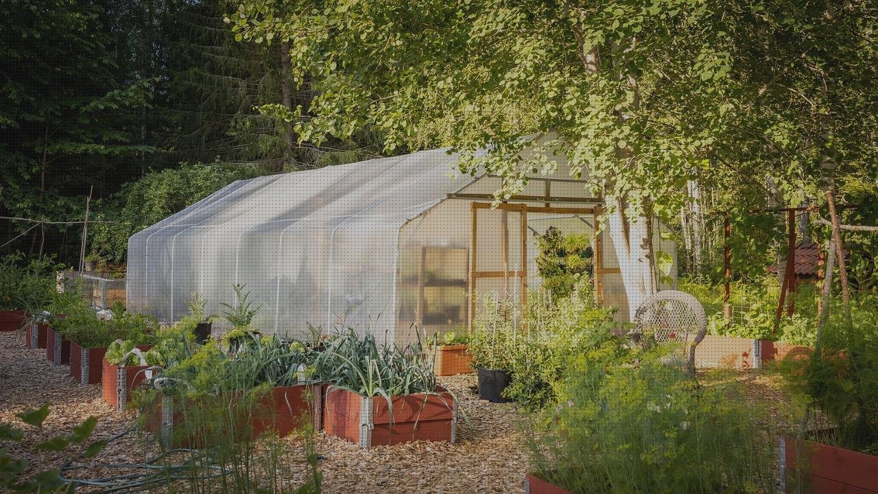 Las mejores marcas de plástico transparente invernaderos invernadero túnel policarbonato