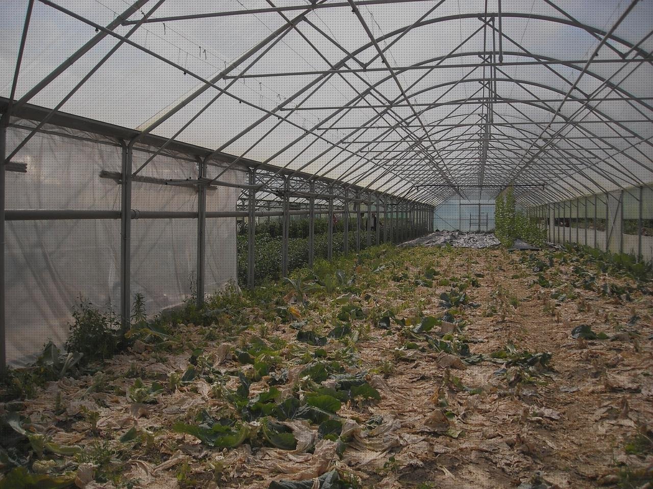 ¿Dónde poder comprar plástico transparente invernaderos invernaderos aluminio y policarbonato?