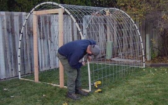 Las mejores marcas de plástico transparente invernaderos invernaderos de policarbonato en aki